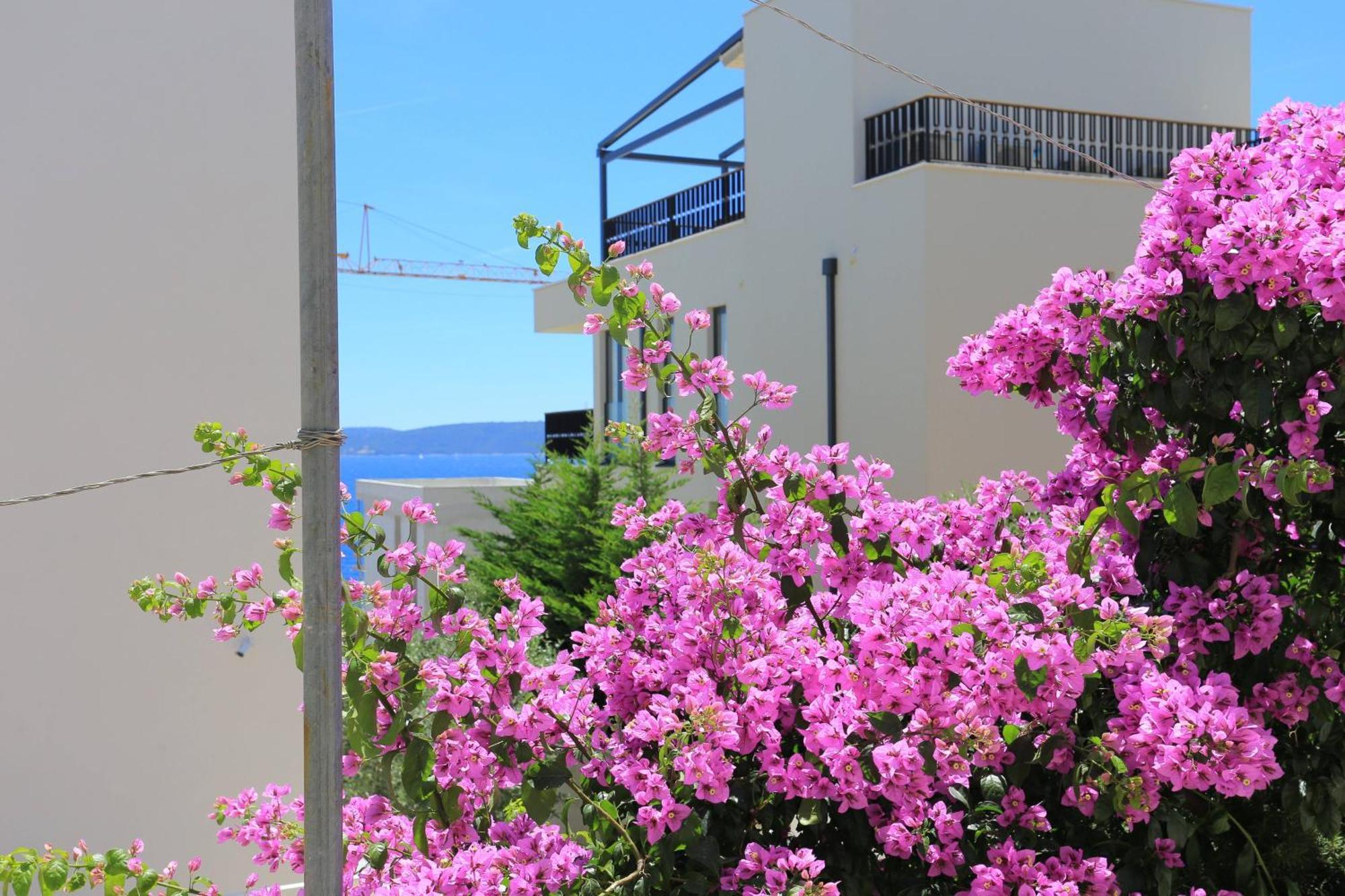 Family Friendly Apartments With A Swimming Pool Businci, Ciovo - 11232 Traù Esterno foto
